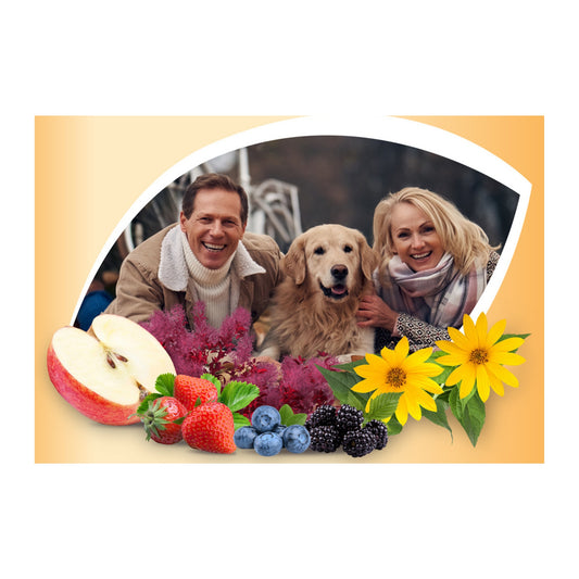 Phytonutrients in Fruits vs. Supplementation: A Comparative Analysis of Effects on Cancer and Cardiovascular Diseases